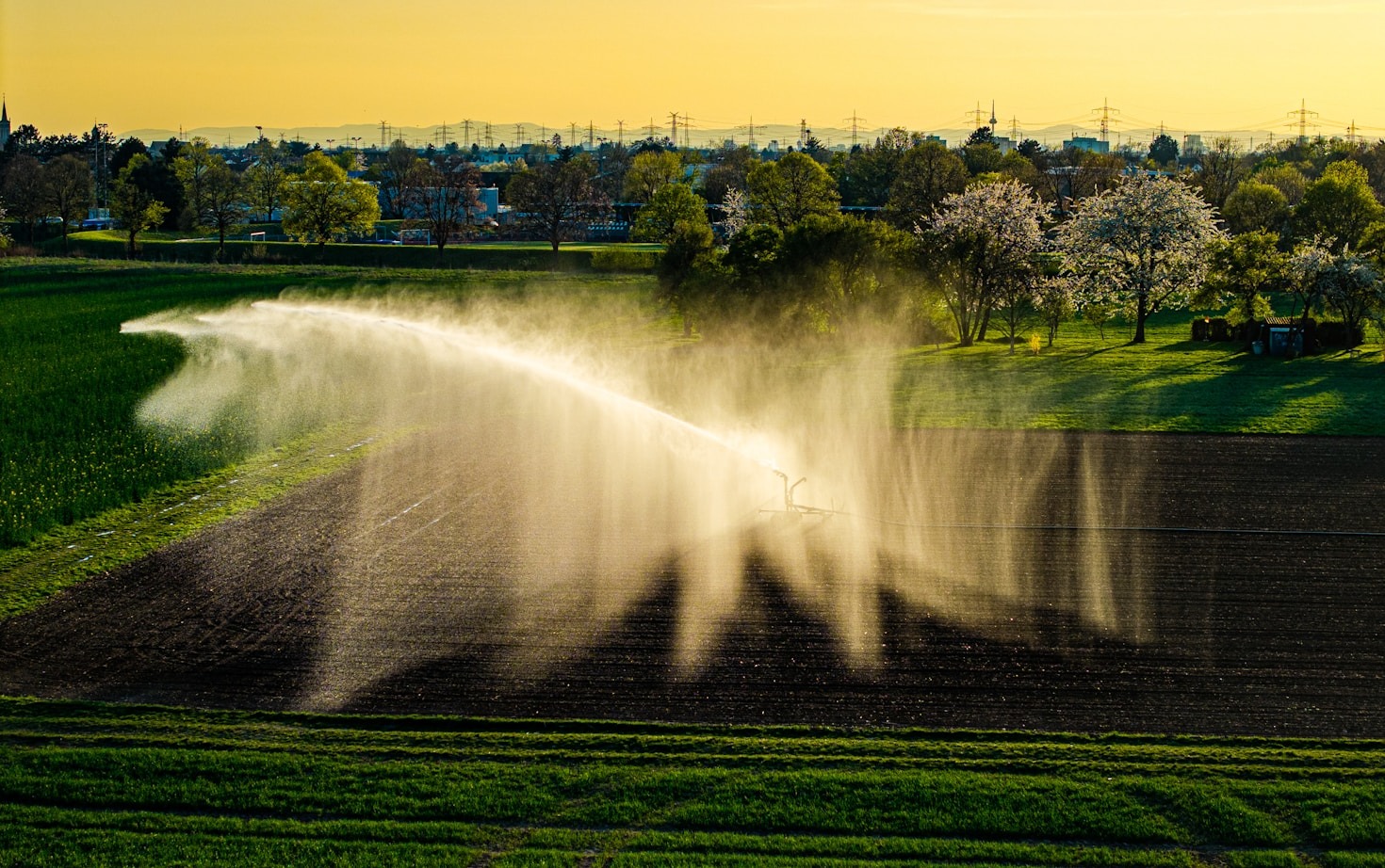 Como otimizar o uso de defensivos agrícolas