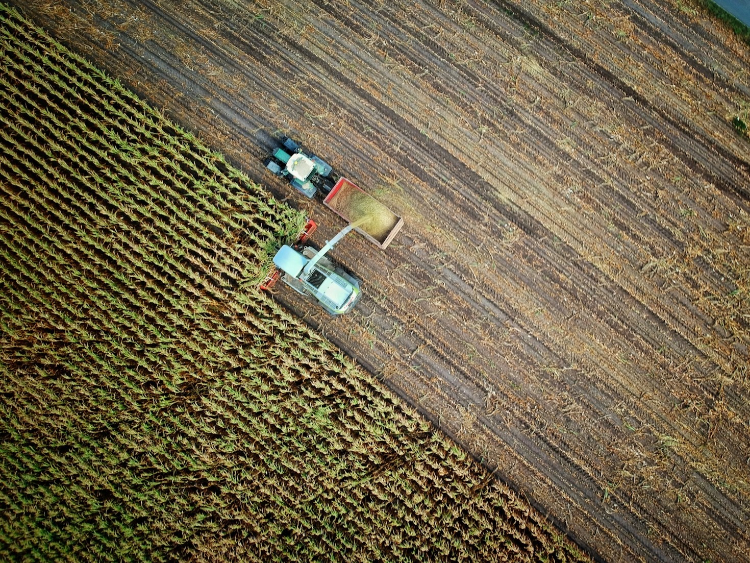 Redução de custos com a plataforma Connecthings Agro
